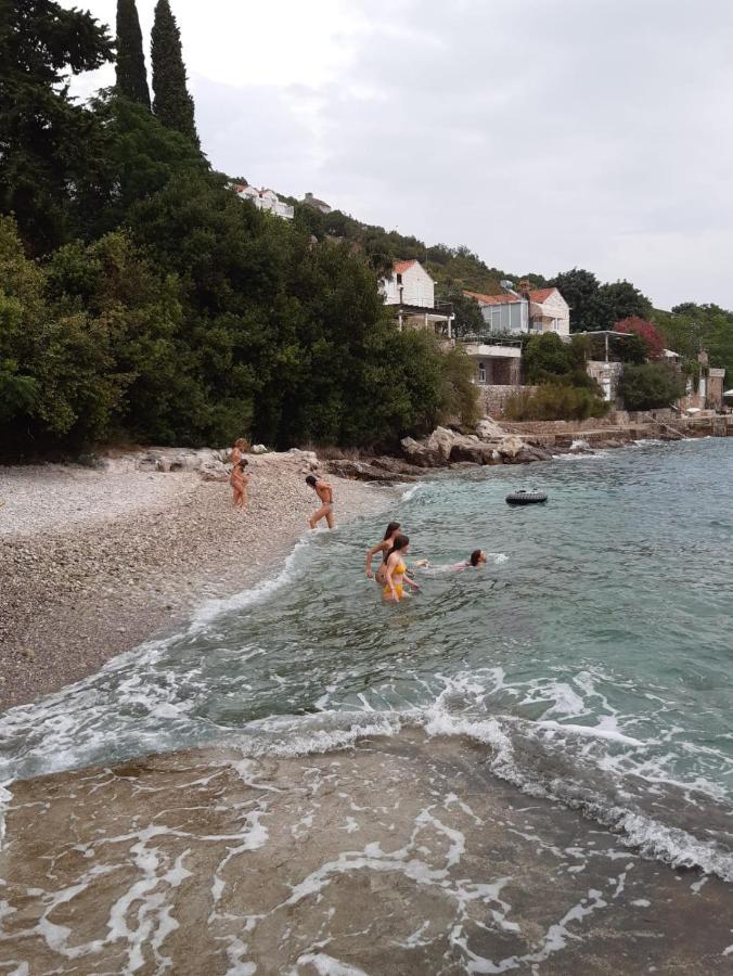 דוברובניק Oliva Apartments Lozica חדר תמונה